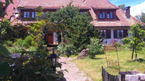 Hotels in Murg
